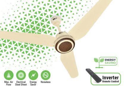REGAL PLUS WOOD AC/DC